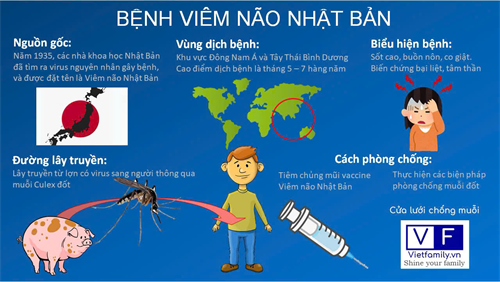 Chủ động phòng chống bệnh viêm não Nhật Bản